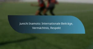 Junichi Inamoto: Internationale Beiträge, Vermächtnis, Respekt