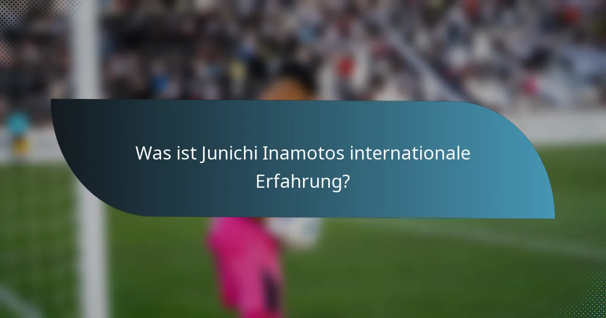 Was ist Junichi Inamotos internationale Erfahrung?