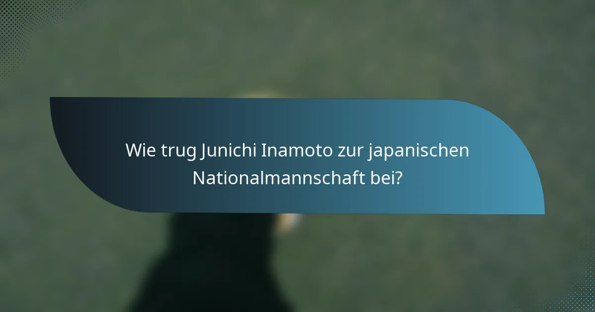 Wie trug Junichi Inamoto zur japanischen Nationalmannschaft bei?